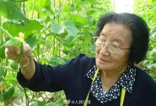 娱乐吃瓜酱善良的人,娱乐吃瓜酱的甜蜜旅程