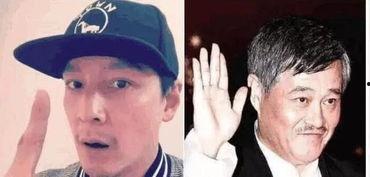 娱乐圈吃瓜定律是什么,吃瓜定律背后的真相与启示