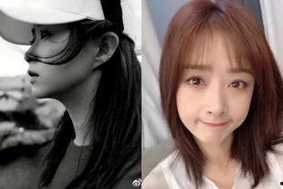 娱乐吃瓜酱剪发视频,解锁新发型，轻松变身时尚达人