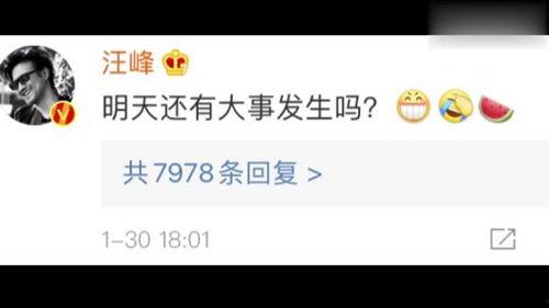 微信娱乐圈吃瓜群聊,揭秘微信吃瓜群聊背后的精彩瞬间