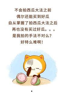 娱乐吃瓜酱拒绝精神,揭秘轻松生活之道