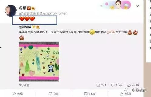 娱乐吃瓜酱 生日,揭秘明星生日背后的故事与惊喜