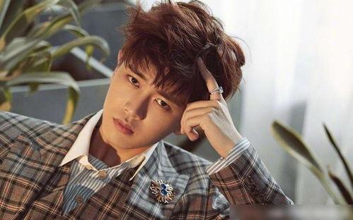 任嘉伦吃瓜娱乐完整版,幕后故事全解析