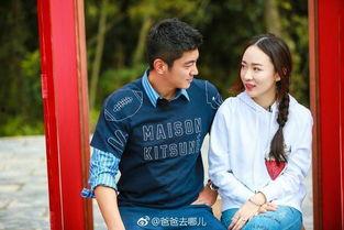 吃瓜娱乐太太,揭秘娱乐圈背后的故事与真相