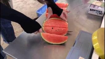 娱乐吃瓜群众集合视频,吃瓜群众视角下的精彩瞬间