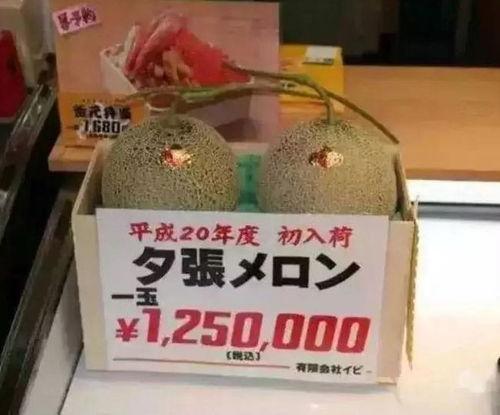 娱乐吃瓜酱标签