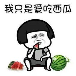 晋江吃瓜娱乐圈,晋江吃瓜群众揭秘幕后真相