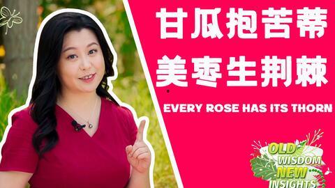 娱乐吃瓜酱苦尽甘来时,从苦涩到甘甜的蜕变之旅