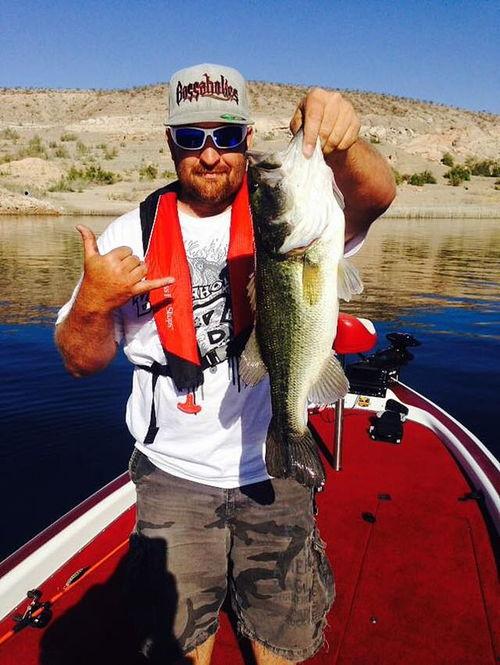 娱乐吃瓜钓鱼视频大全下载