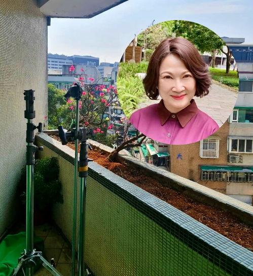 娱乐吃瓜酱台湾,揭秘台湾娱乐圈那些事儿