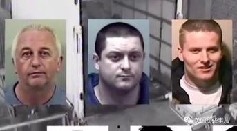 娱乐圈吃瓜群众小说推荐